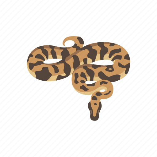 Animal, ball python, python, reptile, royal python, snake icon - Download on Iconfinder