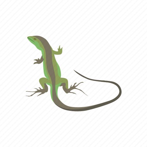 Animal, invertebrate, lizard, racerunner, racerunner lizard, reptile icon - Download on Iconfinder