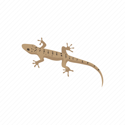 Animal, gecko, gecko lizard, house gecko, lizard, reptile, vertebrate icon - Download on Iconfinder