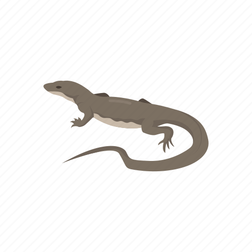 Animal, lizard, monitor lizard, reptile, varanus salvator, vertebrate icon - Download on Iconfinder