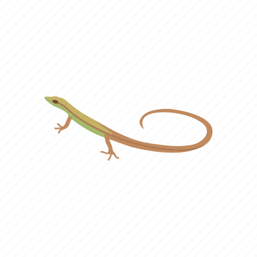 Animal, grass lizard, lizard, long tailed lizard, reptile, vertebrates icon - Download on Iconfinder