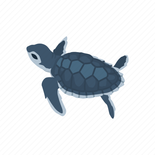 Animal, reptiles, sea turtle, shell, turtle, vertebrates icon - Download on Iconfinder