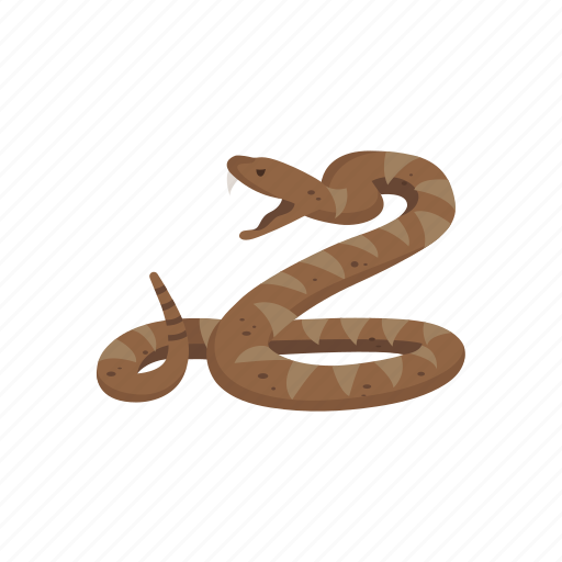Animal, rattel snake, reptile, serpent, snake, venomous snake icon - Download on Iconfinder