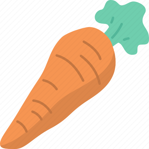 Carrot, vegetable, nutrition, antioxidant, organic icon - Download on Iconfinder