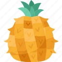 pineapple, fruit, juicy, dessert, tropical