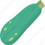 zucchini, vegetable, ingredient, agriculture, harvest 