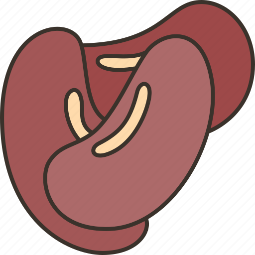 Beans, kidney, grain, protein, agriculture icon - Download on Iconfinder