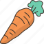 carrot, vegetable, nutrition, antioxidant, organic 