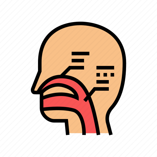 Nasal, passages, disease, infection, virus, asthma icon - Download on Iconfinder