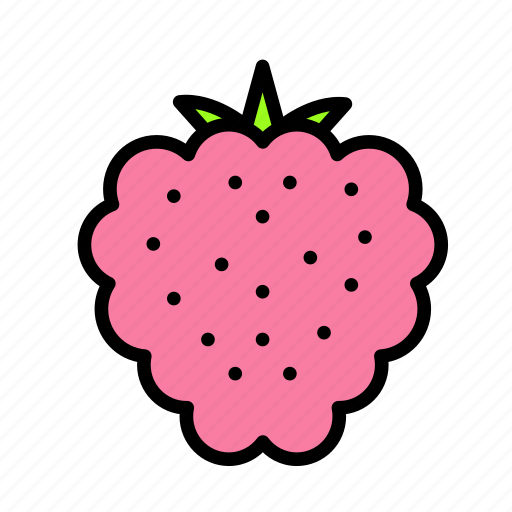 Drink, food, meal, raspberry icon - Download on Iconfinder