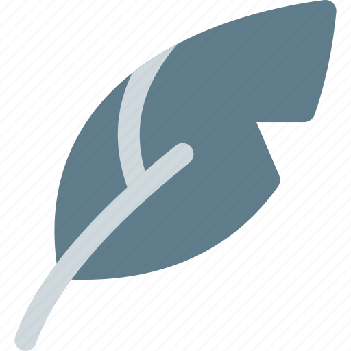Quill, feather, plume, shaft icon - Download on Iconfinder