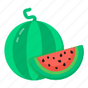 melon, watermelon, cantaloupe, citrullus lanatus, fruit 