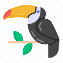 woodpecker, toucan, bird, animal, creature