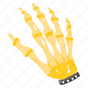 spooky hand, skeleton, dead hand, bones, fingers