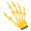 spooky hand, skeleton, dead hand, bones, fingers 