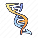 chromosome, dna, genetic, medical, science, structure