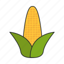 corn, food, maize, vegetable