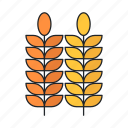 agriculture, grain, leaf, plant, wheat