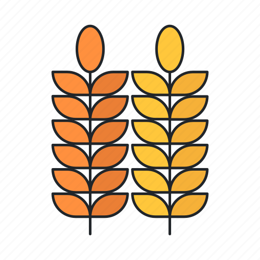 Agriculture, grain, leaf, plant, wheat icon - Download on Iconfinder