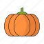 autumn, fall, halloween, pumpkin, thanksgiving, vegetable 