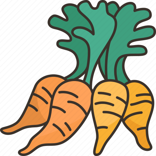 Carrot, baby, carotene, fiber, food icon - Download on Iconfinder