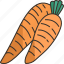 carrot, carotene, ingredient, vegetable, agriculture 