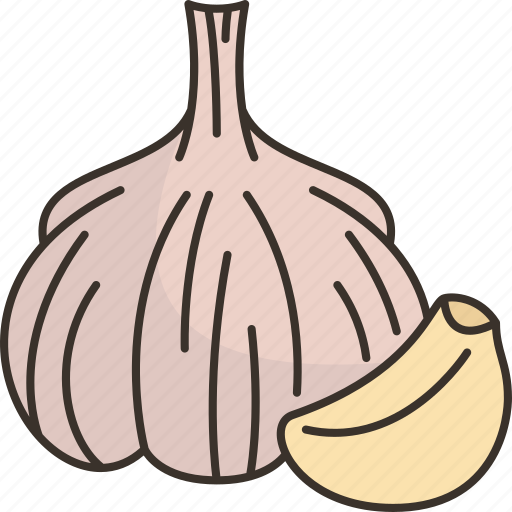 Garlic, clove, seasoning, flavor, spice icon - Download on Iconfinder