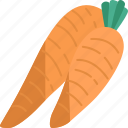 carrot, carotene, ingredient, vegetable, agriculture