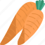 carrot, carotene, ingredient, vegetable, agriculture 