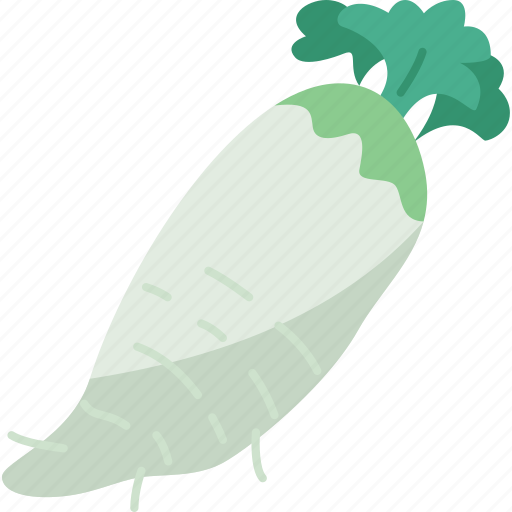 Daikon, diet, vegetable, root, plant icon - Download on Iconfinder