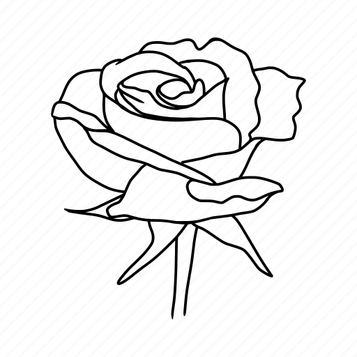 Flower, stem, leaf, bloom, blossom icon - Download on Iconfinder