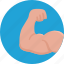 arm, bodybuilding, fitness, force, muscles, sport, strength 