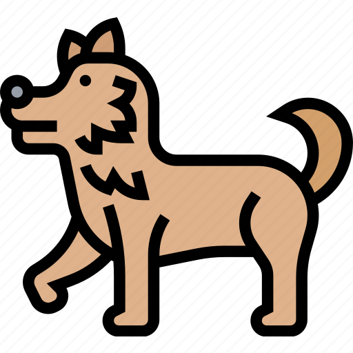 Dog, siberian, husky, canine, breed icon - Download on Iconfinder