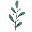 plant, rustic, blossom, flora