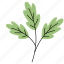 rustic, leaf, plant, green 