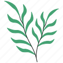 rustic, plant, leaf, flower