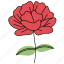 rustic, rose, flower, blooming 