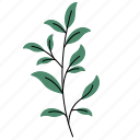 rustic, leaf, plant, botany