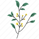 rustic, leaf, plant, flower