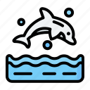 dolphin, fish, marine, nautical, ocean
