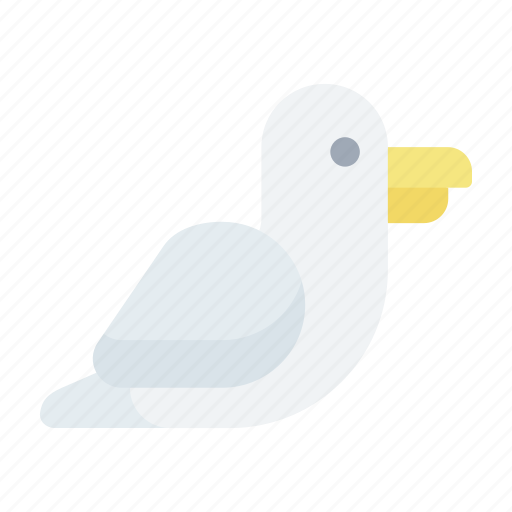Nature, bird, seagull, animal, wing icon - Download on Iconfinder