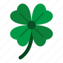 clover, leaf, saint patrick, shamrock, irish, ireland, event, patrick, culture