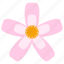 blossom, cherry, festival, flower, pink, sakura, season 