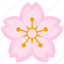 blossom, cherry, festival, flower, pink, sakura, season 