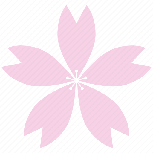 Blossom, cherry, festival, flower, pink, sakura, season icon - Download on Iconfinder