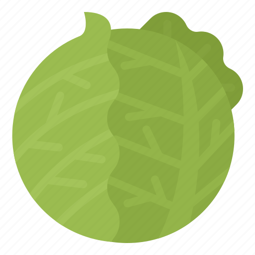 Cabbage, headed, healthy, vegetable icon - Download on Iconfinder