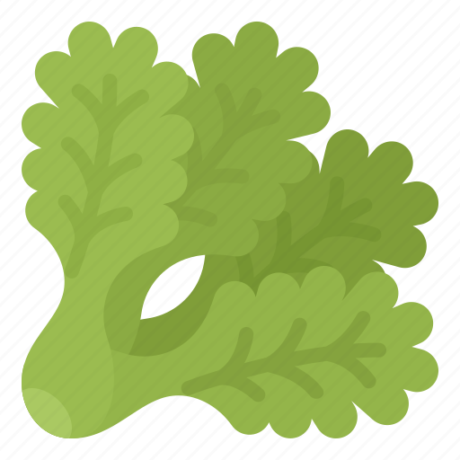 Filey, healthy, iceberg, lettuce, vegetable icon - Download on Iconfinder