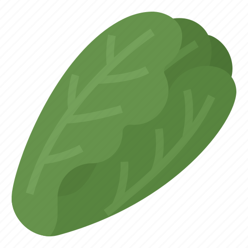 Cos, green, green cos, healthy, lettuce, vegetable icon - Download on Iconfinder