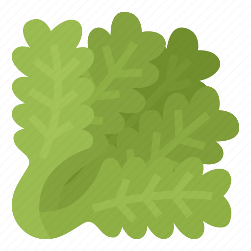 Fiber, healthy, lettuce, vegetable icon - Download on Iconfinder