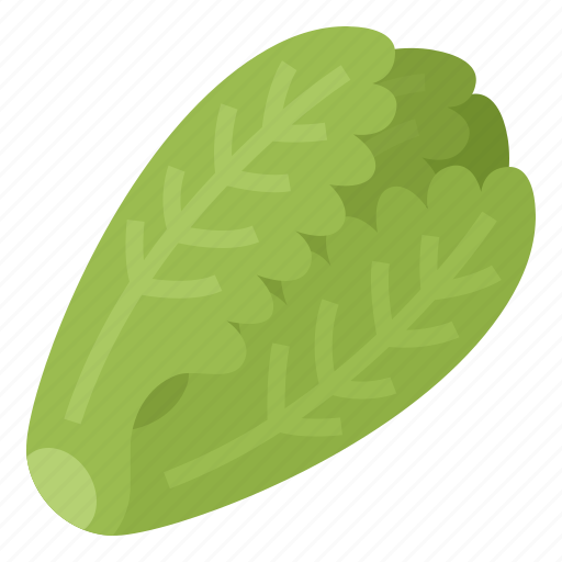 Healthy, lettuce, romaine, vegetable icon - Download on Iconfinder
